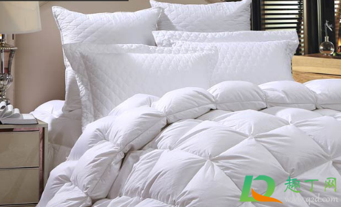 95白鹅绒被子里有少量灰绒毛对吗(95白鹅绒被子好吗)