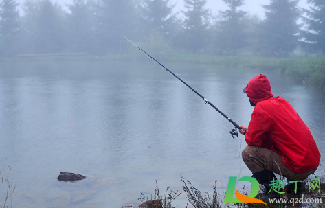 禁渔期间能不能钓鱼(禁渔期内可以钓鱼吗)