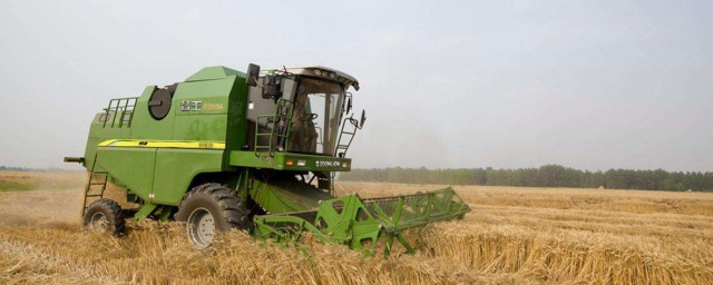 不但能收玉米还可以收大豆(玉米间作大豆)