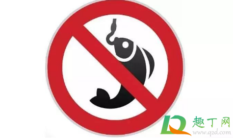 禁渔期间能不能钓鱼(禁渔期内可以钓鱼吗)