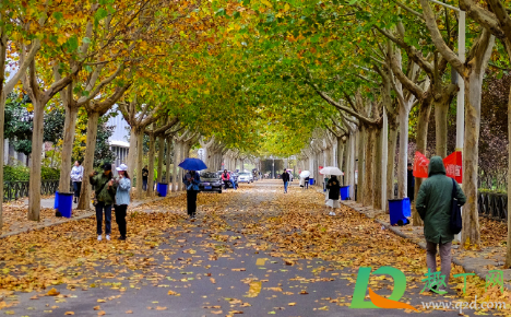 郑州财经学院下沉广场视频在哪看(郑州财经学院下沉广场视频资源)