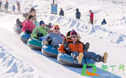 滑雪先学单板还是双板(初次滑雪学单板还是双板)