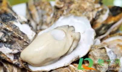 生蚝带壳沸水蒸几分钟(带壳生蚝蒸水开后多久才熟) 生蚝带壳沸水蒸几分钟(带壳生蚝蒸水开后多久才熟)