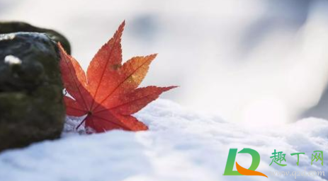 2020年小寒是三九第一天吗(2020年小寒是哪一天?)