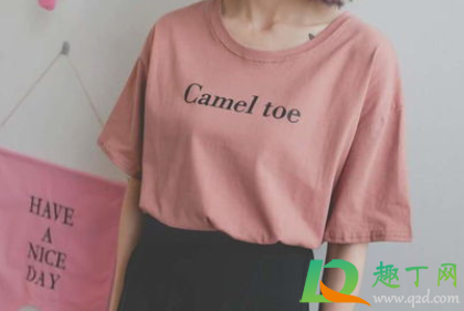 xl是多大尺码多少斤(女2xl是多大尺码多少斤)