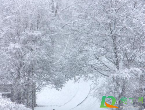 北京冬天降雪量大吗2020(2020年北京有雪吗) 北京冬天降雪量大吗2020(2020年北京有雪吗)