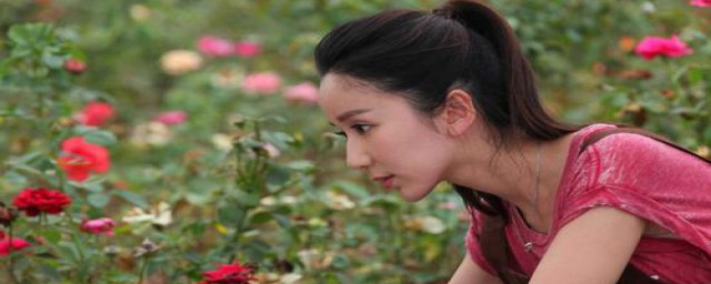 宋杨张莉圆的电视剧介绍(电视剧 宋杨)