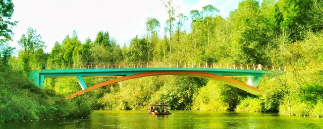 跟桥有关的大俗话整理(与桥有关的俗语或诗句)