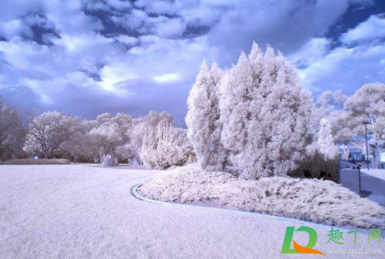 2020年12月有冷空气吗(12月还有冷空气吗)