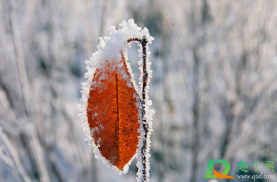 2020年12月天气怎么样(2020年12月份天气怎么样) 2020年12月天气怎么样(2020年12月份天气怎么样)