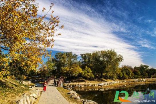 2021年是盲年吗(2021年是什么) 2021年是盲年吗(2021年是什么)