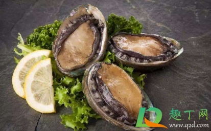 鲍鱼一整个都能吃吗(鲍鱼整只都能吃吗)