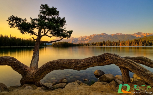 2021年是黑年吗(为啥说2021年是黑年)