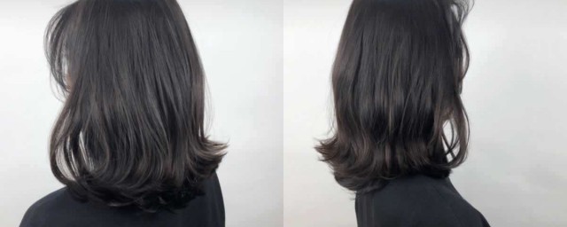 染发后可以每天洗头吗(染完头可以每天洗头吗)