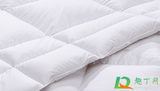 鹅绒被有黑色的羽毛是怎么回事(为什么羽绒服里的毛是黑色的)