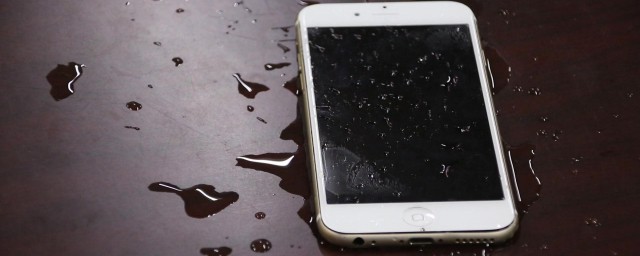 手机进水后正确的拯救方法是什么(手机进水了怎么抢救)