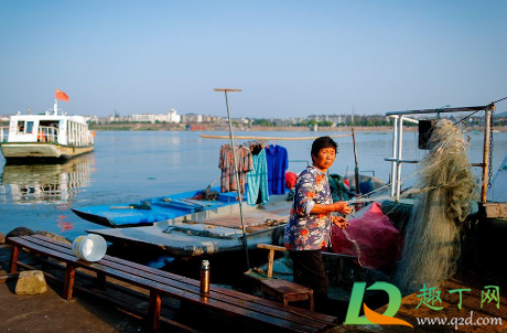 禁渔期是全国的吗(现在属于禁渔期吗)