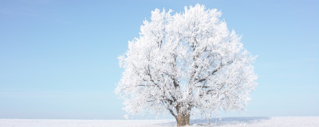 有关冬天的写作素材都在这里(冬天作文素材优美段落)