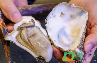 带壳生蚝煮多长时间最合适(带壳水煮生蚝需要多少分钟)