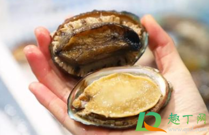 鲍鱼一整个都能吃吗(鲍鱼整只都能吃吗) 鲍鱼一整个都能吃吗(鲍鱼整只都能吃吗)