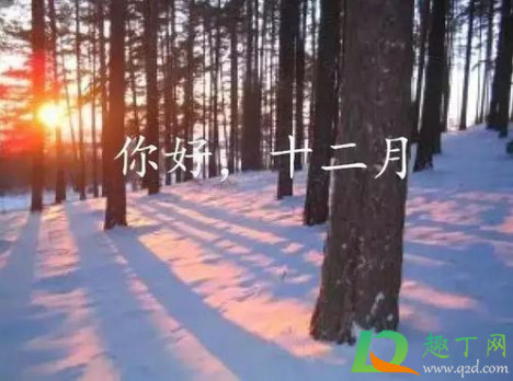 2020年12月份冷不冷(2020年十一月份冷不冷) 2020年12月份冷不冷(2020年十一月份冷不冷)