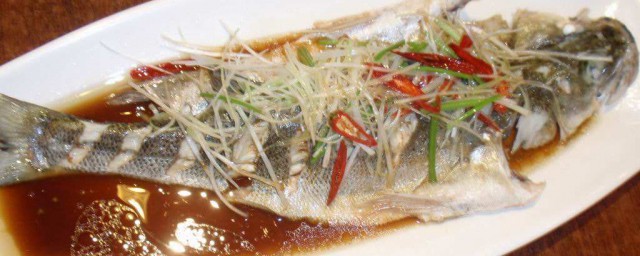 能吃吗(能吃的野菜种类和图片)