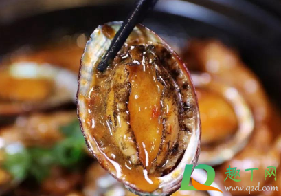 鲍鱼一整个都能吃吗(鲍鱼整只都能吃吗) 鲍鱼一整个都能吃吗(鲍鱼整只都能吃吗)