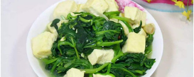 菠菜不能和什么放在一起吃(菠菜不能跟什么一起食用)