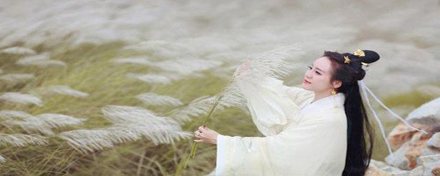 千秋我为凰的内容概括(千秋我为凰百度百科)