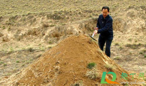 2020年大寒能垒坟吗(2020年大寒前上坟还是大寒后)