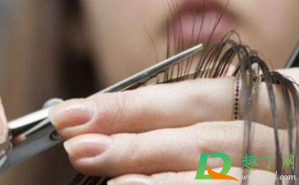 冬至剪头发好不好2020(2020年冬至可以理发吗)