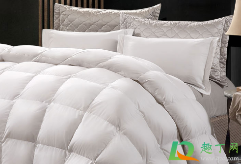 鹅绒被有腥味是什么原因(鹅绒被有异味是什么原因) 鹅绒被有腥味是什么原因(鹅绒被有异味是什么原因)