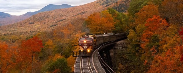 火车票退票手续费收取规定(火车票退票手续费收取标准)