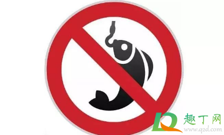 禁渔期是全国的吗(现在属于禁渔期吗)