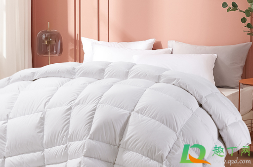 鹅绒被有黑色的羽毛是怎么回事(为什么羽绒服里的毛是黑色的)