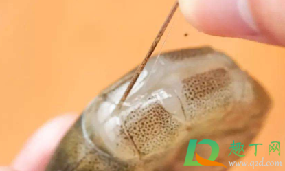 明虾的虾线怎么去掉(虾的虾线在哪里怎么去除)
