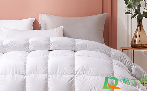 鹅绒被有腥味是什么原因(鹅绒被有异味是什么原因)