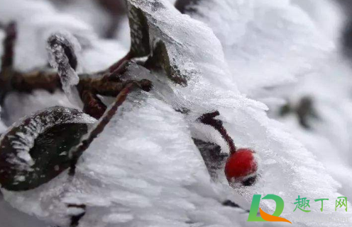 北京冬天降雪量大吗2020(2020年北京有雪吗) 北京冬天降雪量大吗2020(2020年北京有雪吗)