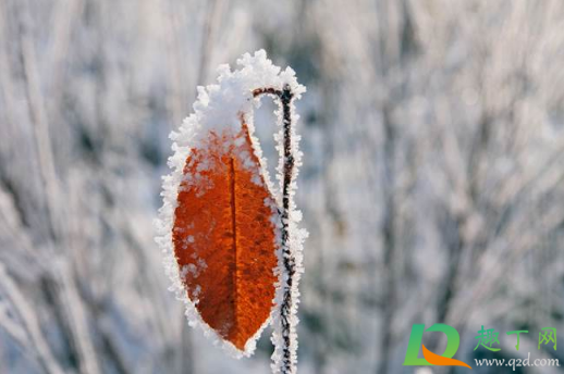 2020年冬天是雨多还是雨少(2020年冬天雨雪天气多吗) 2020年冬天是雨多还是雨少(2020年冬天雨雪天气多吗)