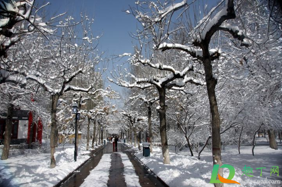 2020年冬天来的早还是晚(2020年冬天似乎比往年更早到来)