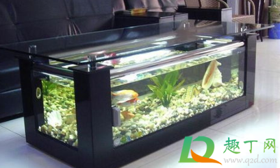 鱼缸加热棒漏电对鱼有伤害吗(鱼缸加热棒漏电会电死鱼吗)