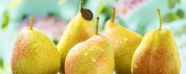 古人育儿经典故事(古代教育儿子的经典故事)