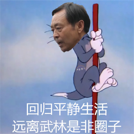 马保国表情包无水印(马保国表情包原图)