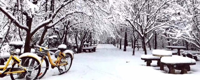 你会发了吗(你为什么要发这些东西)