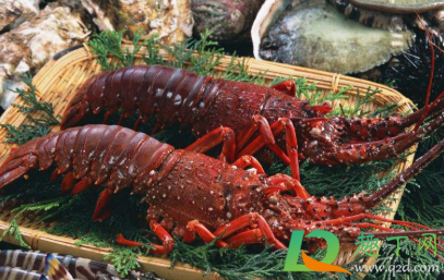 速冻海鲜多少温度最合适(海鲜冷冻多少度) 速冻海鲜多少温度最合适(海鲜冷冻多少度)