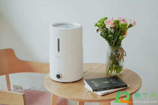 加湿器可以对着头吹吗(加湿器可以对着人吹一晚上吗)