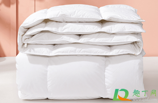 鹅绒被有黑色的羽毛是怎么回事(为什么羽绒服里的毛是黑色的)