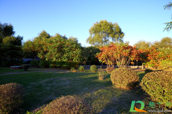 2021年是盲年吗(2021年是什么)