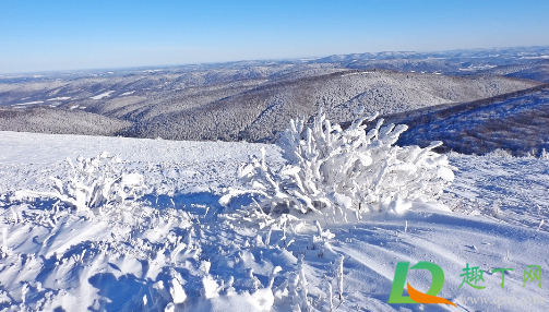 科目三路考下雪会停考吗(下雪科目三还考吗)