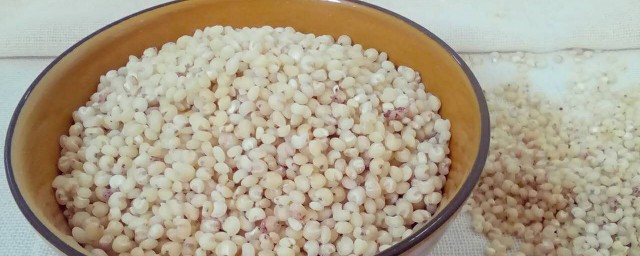 高粱米怎么吃(高粱米怎么吃法)